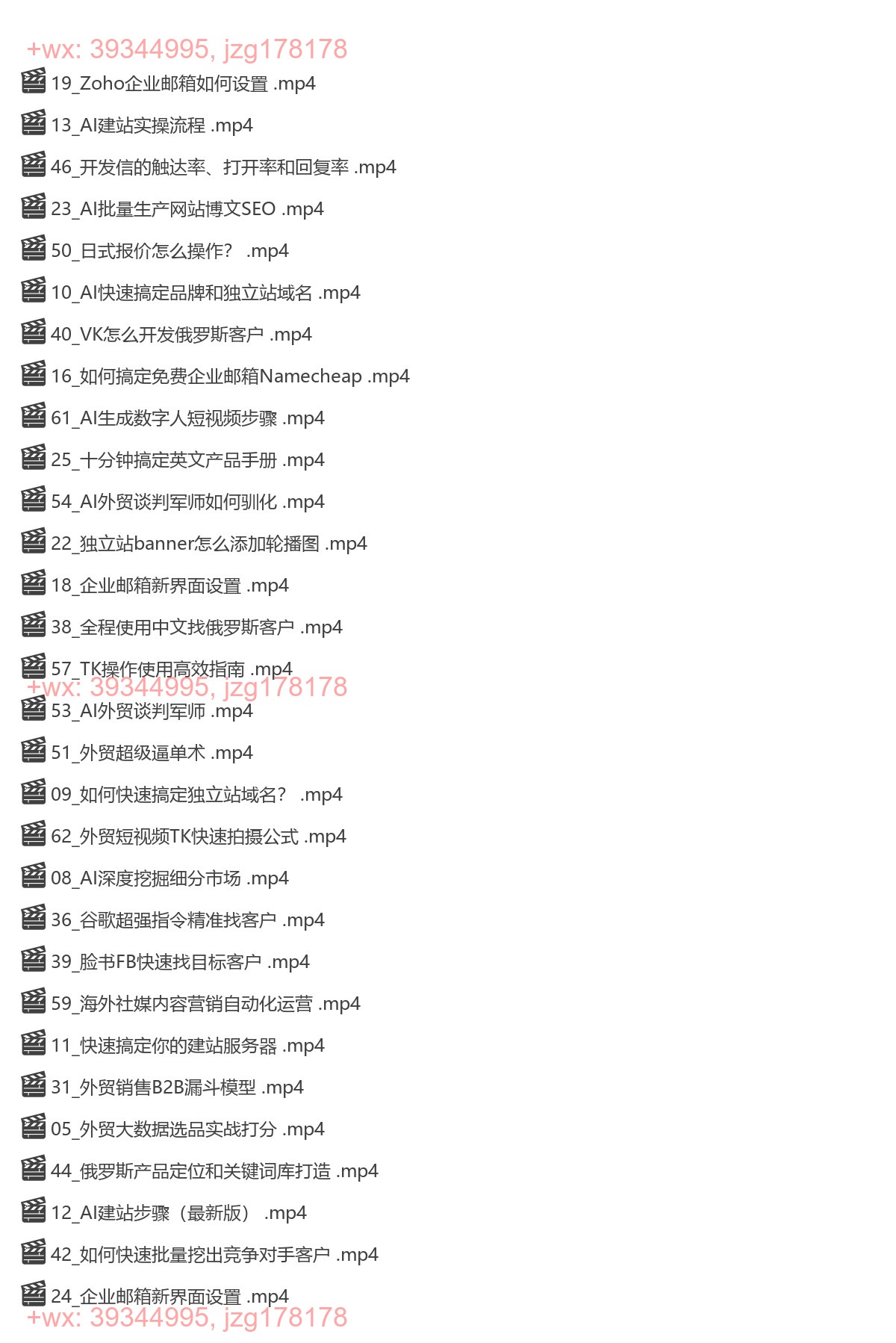 065.AI闪电做外贸实战课-外贸建站-开发客户-内容营销-从0到3做外贸AI screenshot