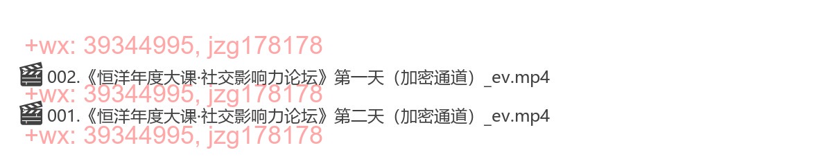 009.恒洋年度大课·社交影响力论坛 screenshot