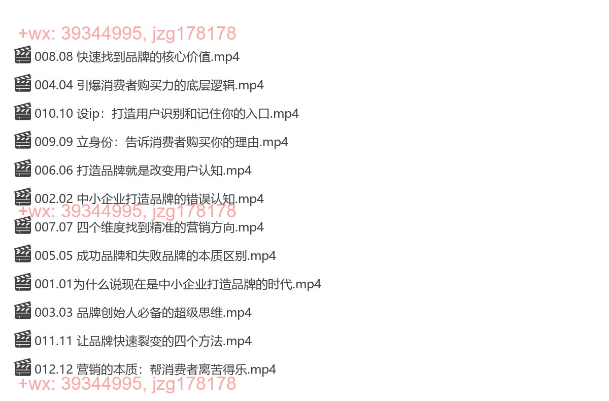 002.妙心--中小企业如何快速打造品牌 screenshot