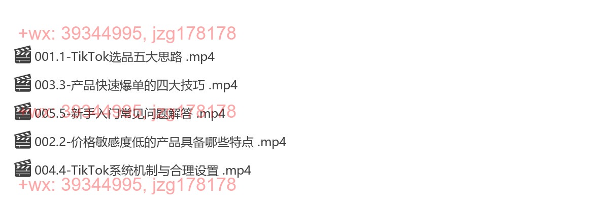 054.TikTok爆品选品逻辑及运营思路 screenshot