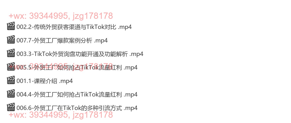 009.外贸工厂玩转TikTok，高效获客 screenshot