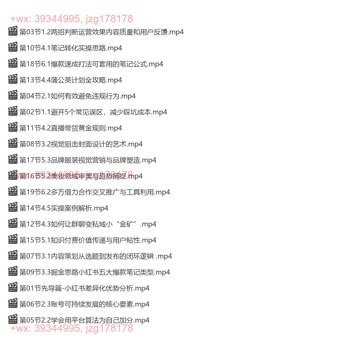 032.梨雁苓小红书高转化运营实战指南（视频课） screenshot