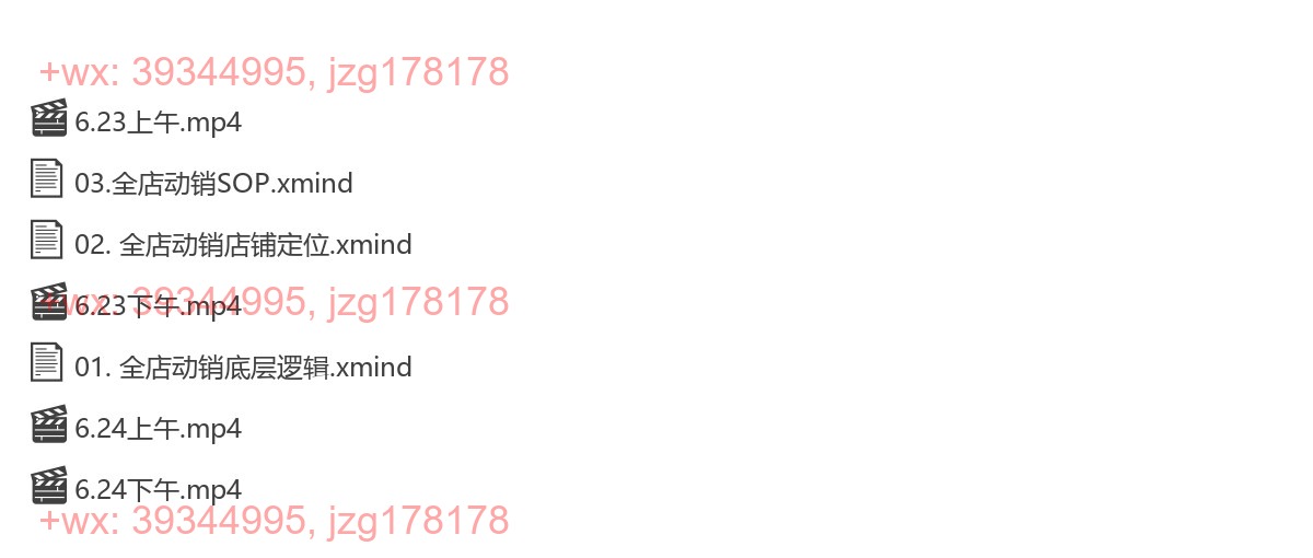 058.阿呆6.23-6.24泉州《全店动销经营模式特训营》 screenshot