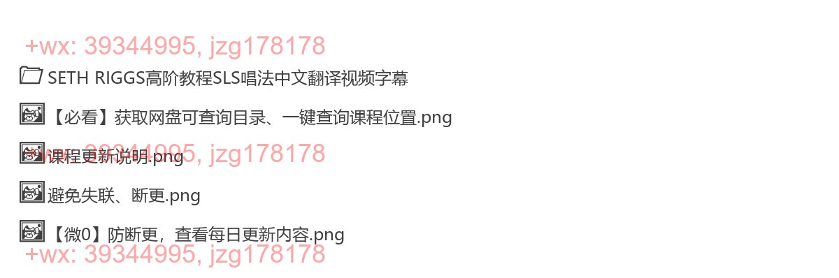 7、seth riggs高阶教程SLS唱法中文翻译字幕视频(提高篇) screenshot