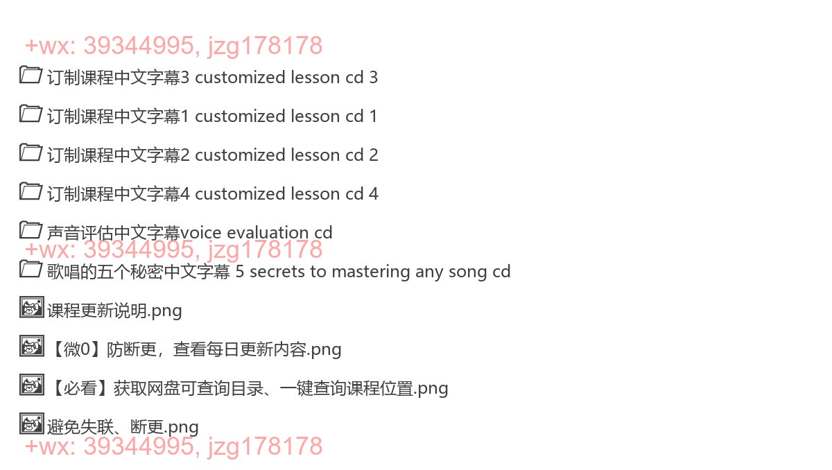 SETH RIGGS高阶教程SLS唱法中文翻译视频字幕 screenshot