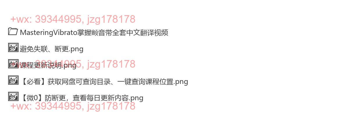 4、MasteringVibrato 颤音 全套中文翻译视频（中级课程） screenshot
