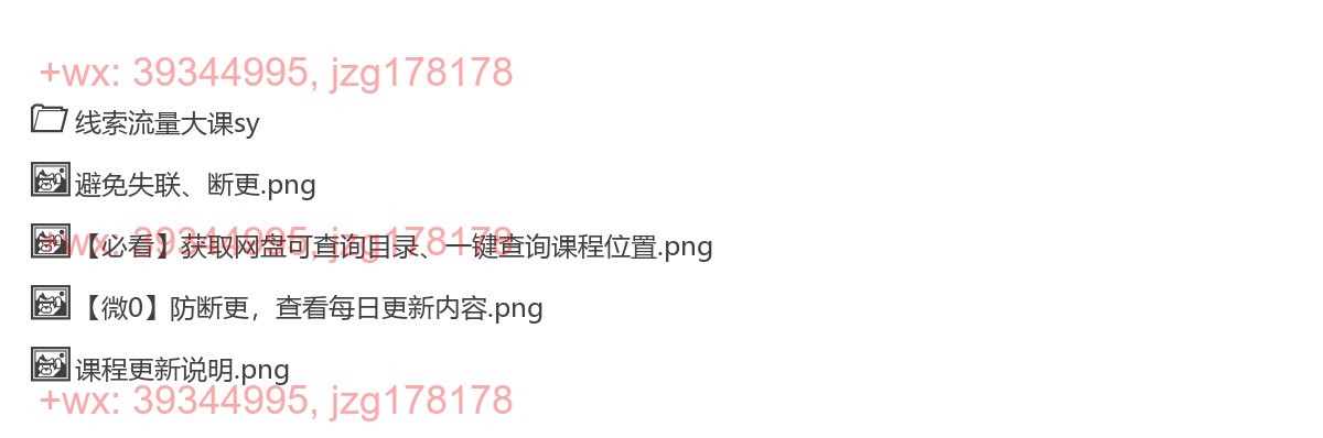 311.张sir-线索流量大课 screenshot