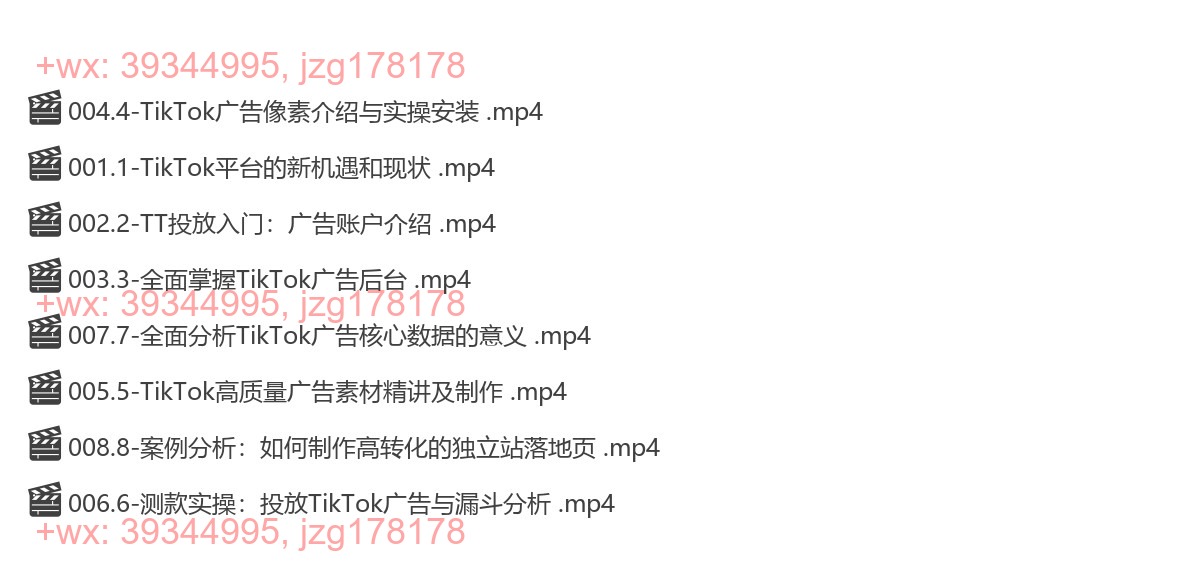 054.TikTok For Business - TikTok广告入门教程 screenshot