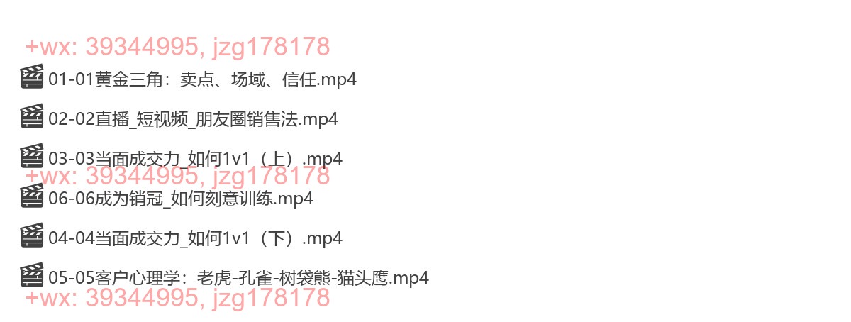 016.谢胜子---销售思维-商业本质-成交技巧-客户心理学-销冠方法论 screenshot