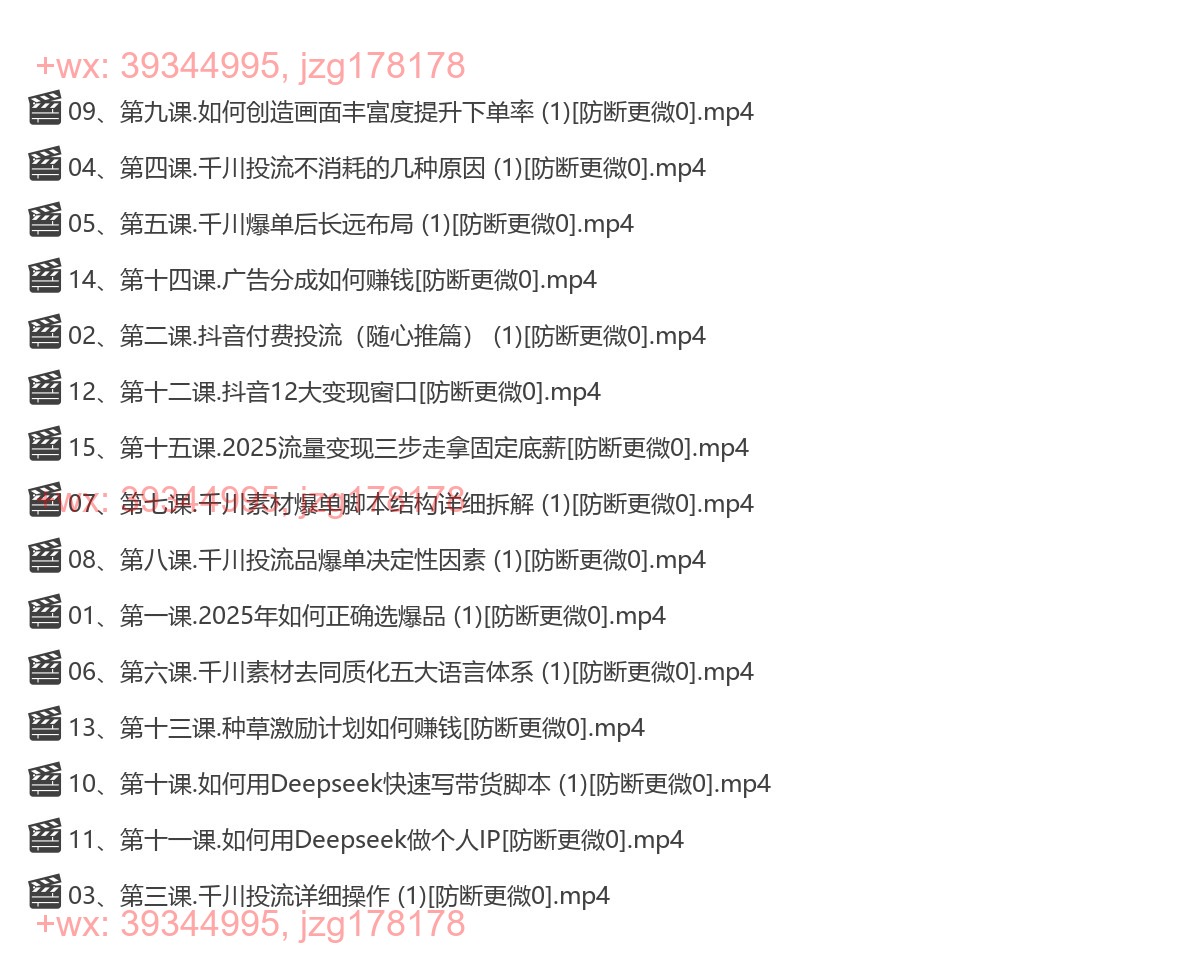 010.303-2025个人IP短视频带货(进阶版)全域流量变现，deepseek千川爆单进阶课 screenshot