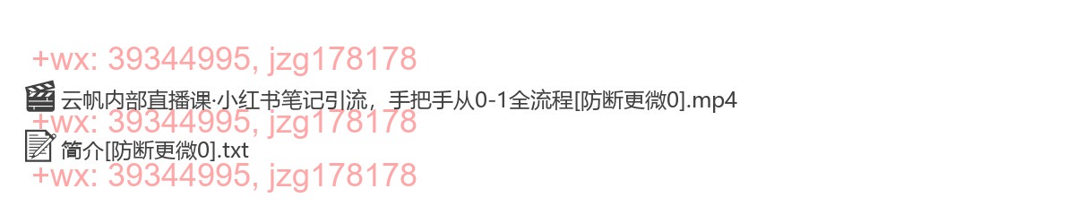 043.353云帆内部直播课·小红书笔记引流，手把手从0-1全流程 screenshot