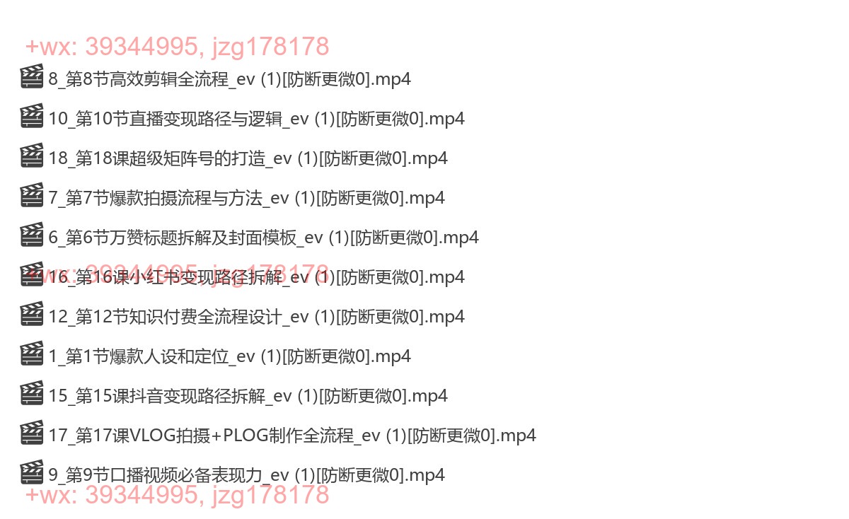 037.372小红书个人IP陪跑课程，开启你职业生涯的PLAN-B，素人也能火成为百万博主的流量密码 screenshot