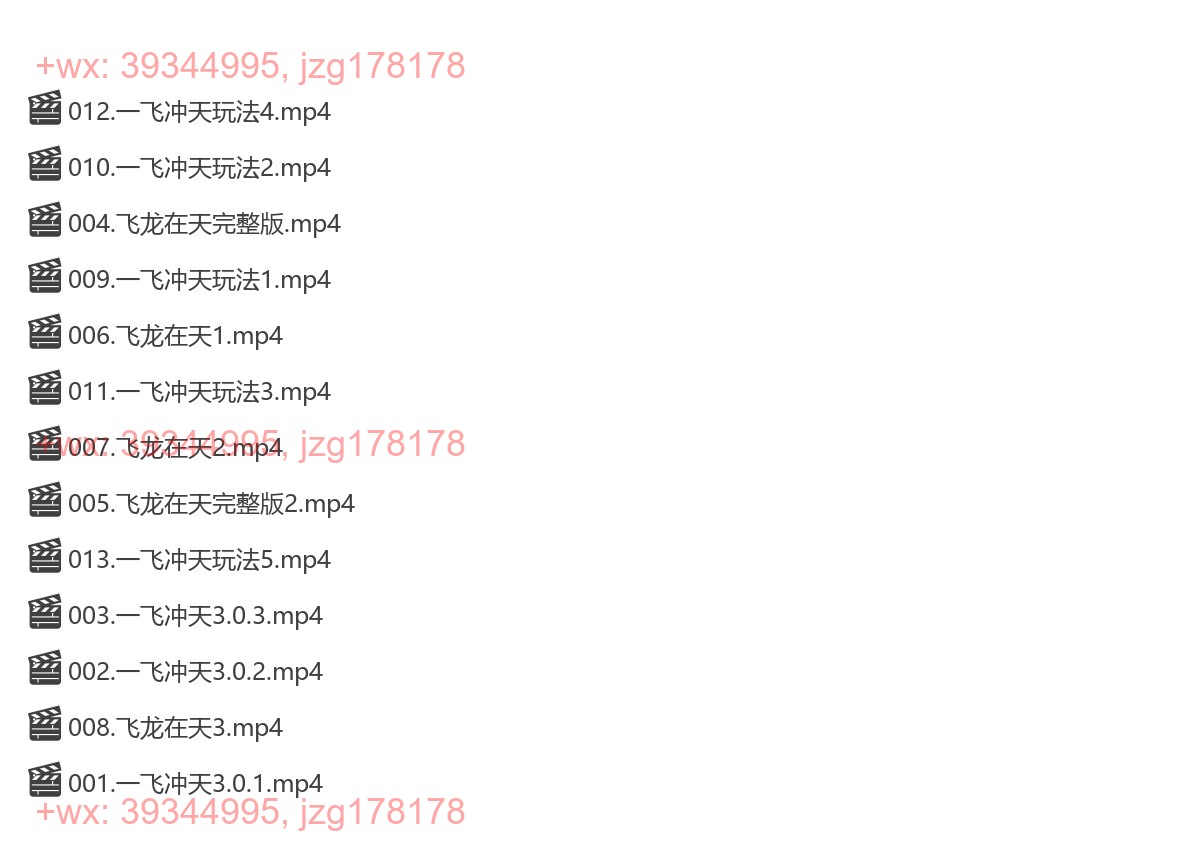 028.391拼多多实操课程，飞龙在天玩法，真实案例，直播全流程链接的黄金sku布局原价操作六个活动 screenshot