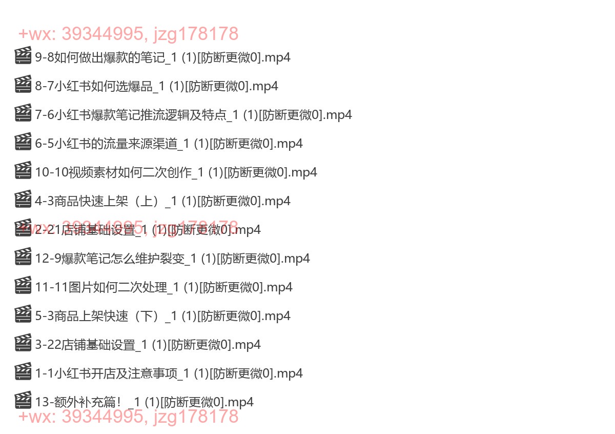 053.289-Kenan小红书电商-kenan小红书教程 screenshot