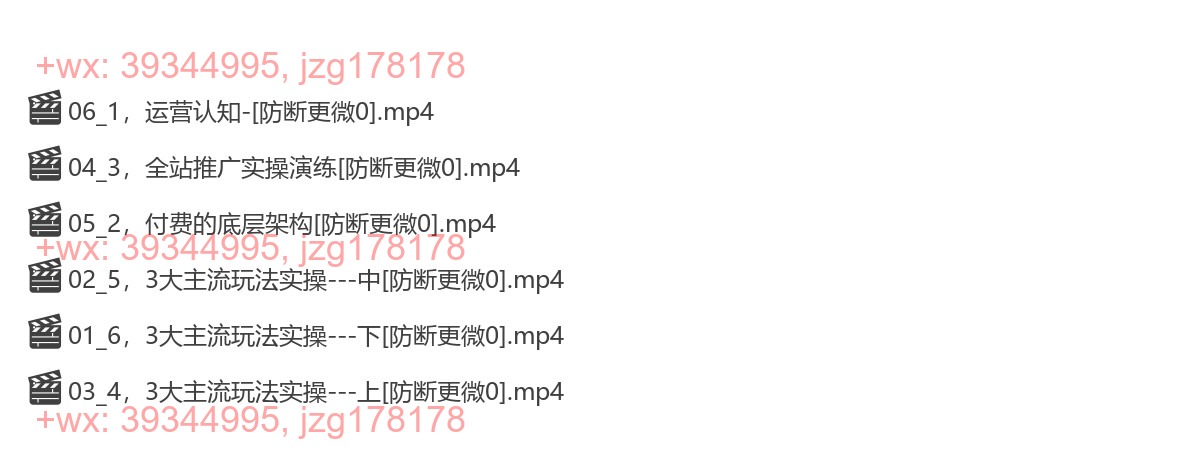 单品爆款打造实操运营 screenshot