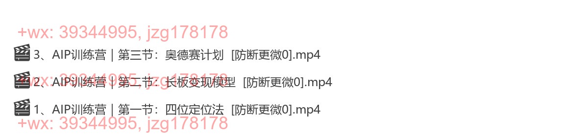 044.303-自媒体IP变现实战营，自媒体从业者打造个人品牌，提升变现能力的实战课程 screenshot