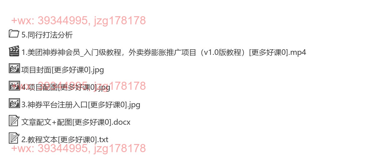 046.美团神券神会员_入门级教程，外卖券膨胀推广项目【全网首发，全新蓝海】 screenshot