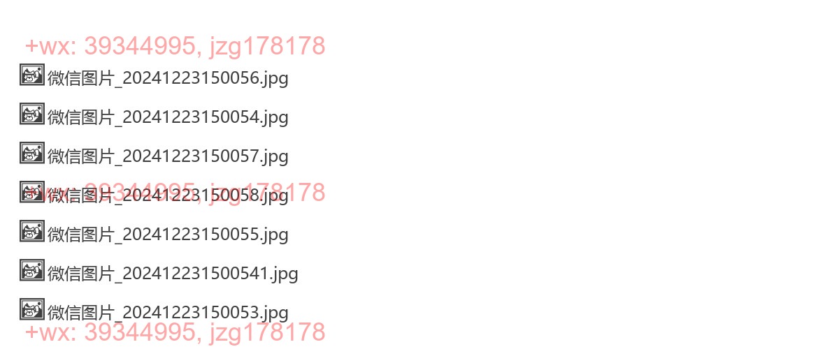 项目效果 screenshot