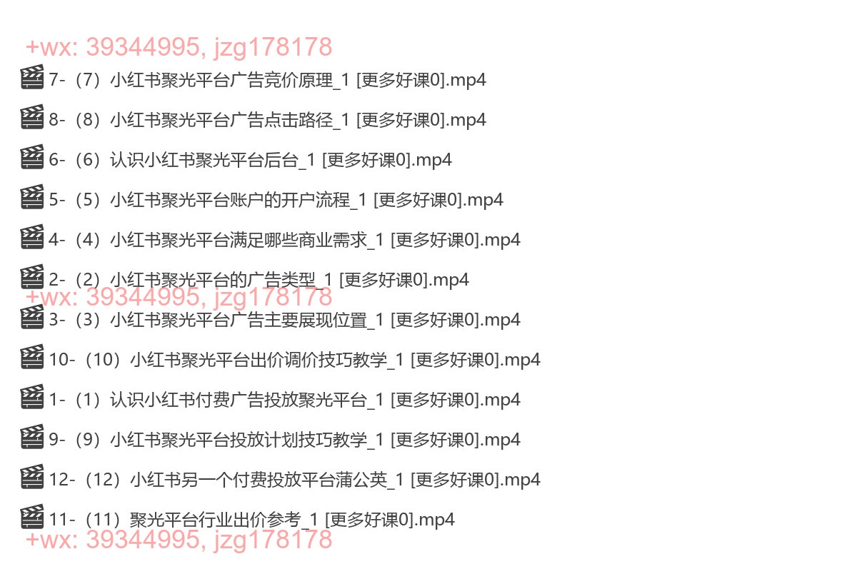 033.小红书聚光零基础实战，聚光平台投放课程从0到1 screenshot