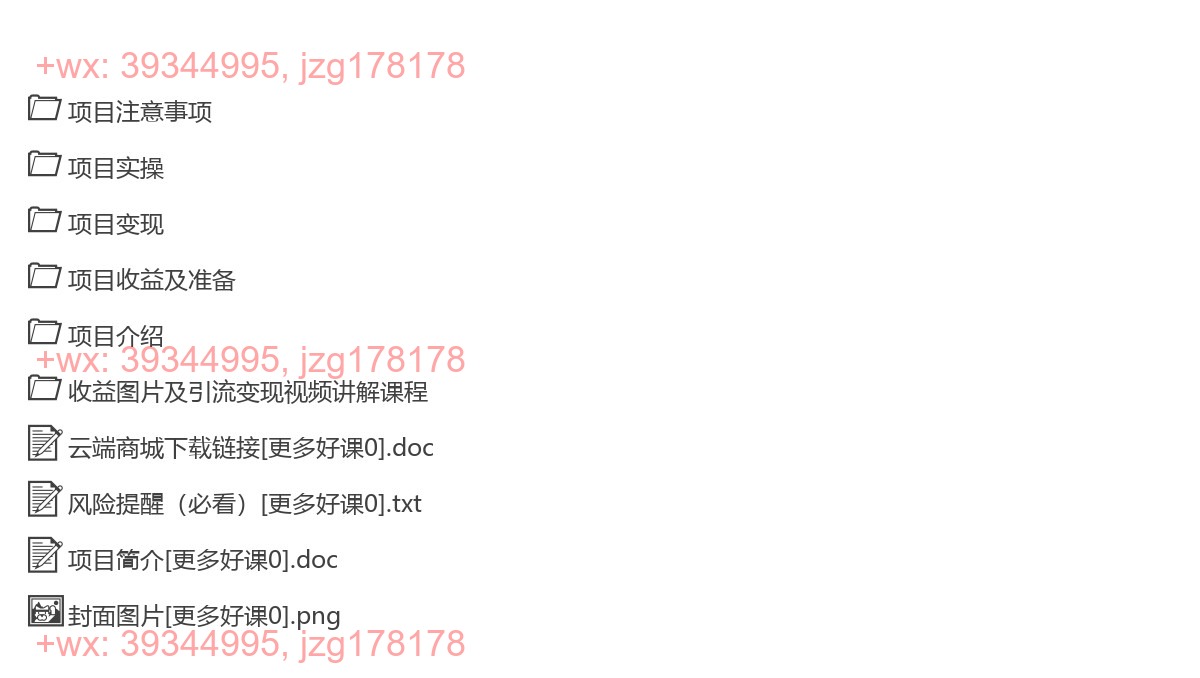 029.2025弯道超车日入过K全网裂变式收益打破认知互联网变现项目【揭秘】 screenshot