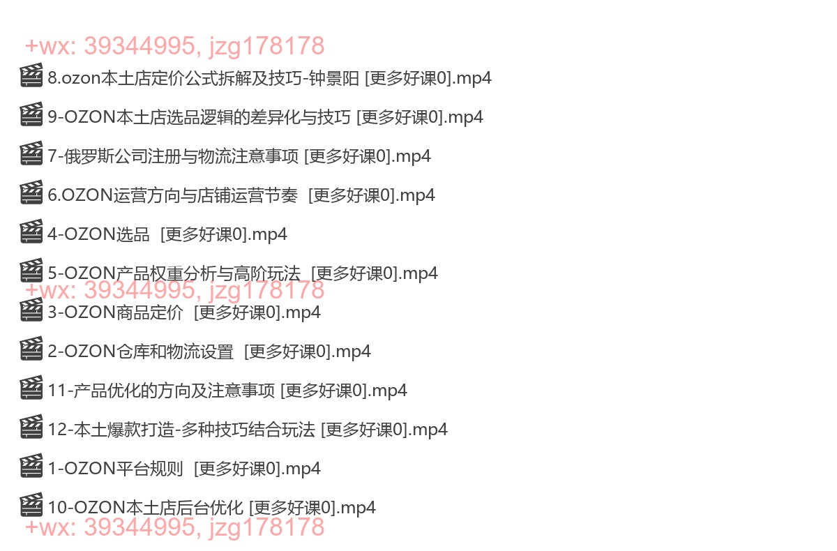 025.俄罗斯OZON本土店实操课，​OZON本土店运营选品变现 screenshot
