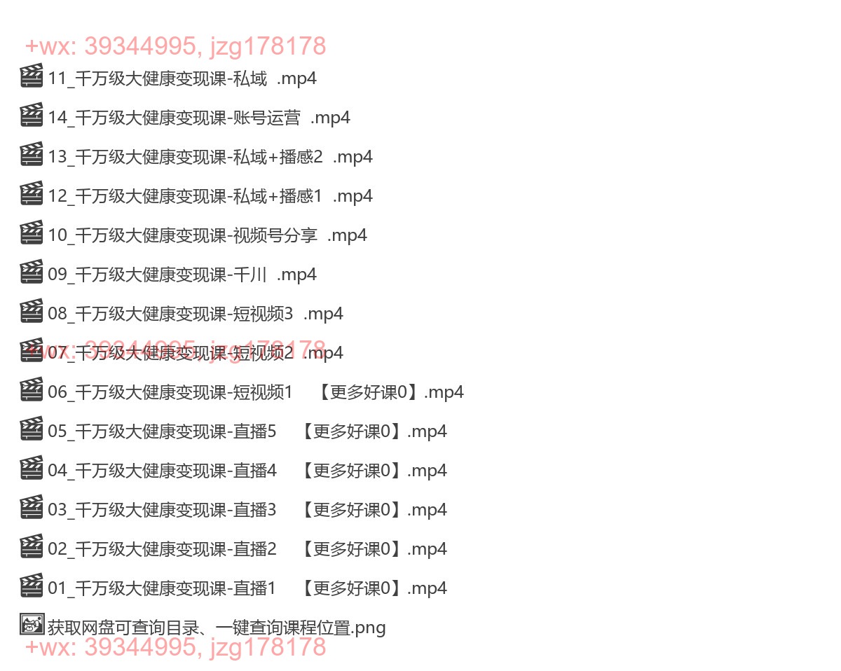 013.千万级大健康变现课线下课，大健康全域流量一站式整体解决方案 screenshot
