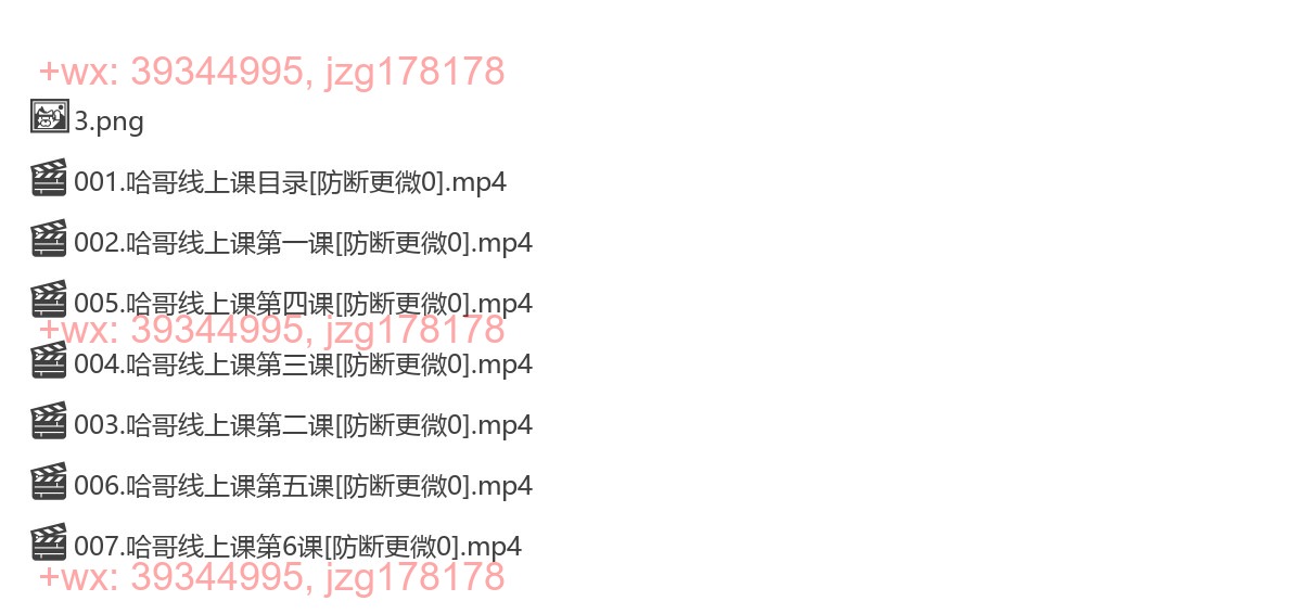 385.哈哥电商线上课程 screenshot
