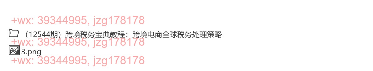 388.2025跨境税务宝典教程 screenshot