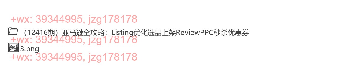 389.2025亚马逊全攻略：Listing优化选品上架ReviewPPC秒杀优惠券 screenshot