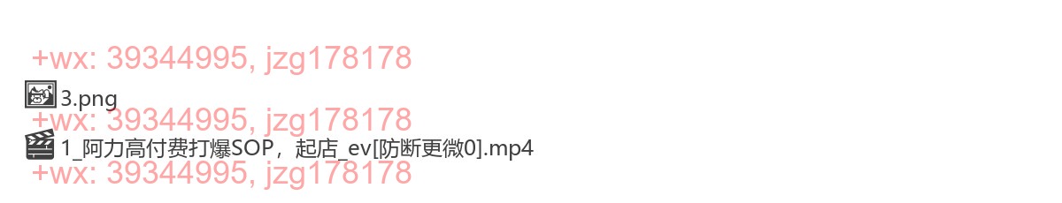 400.阿力老师高付费起店攻略 screenshot