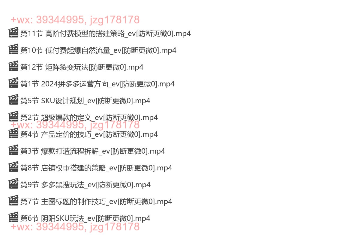 361.老陶 2024多多运营必听的12节课 screenshot