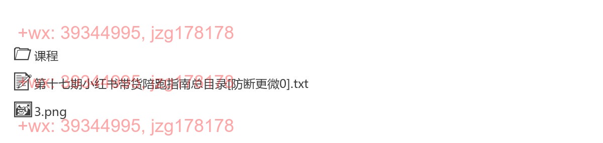 156.第十七期小红书带货陪跑指南总目录 screenshot