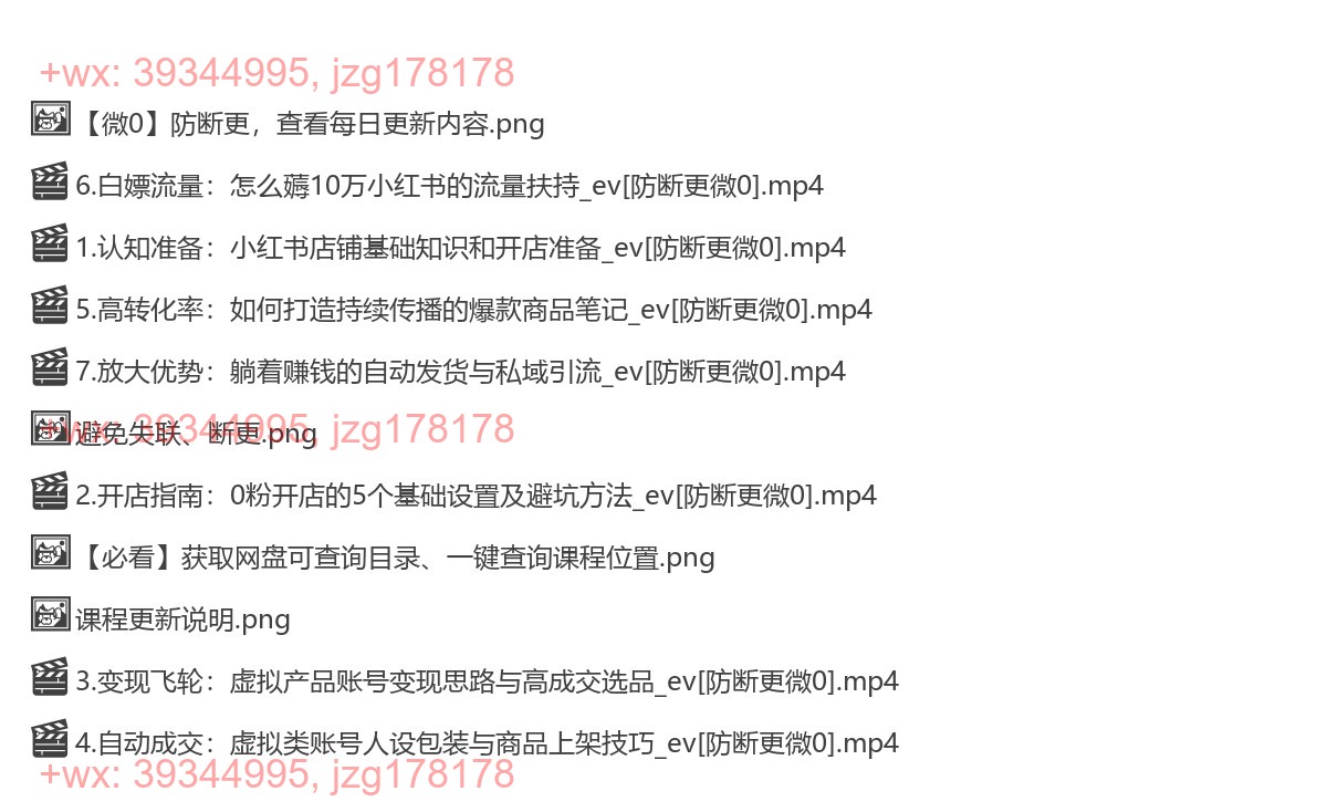 110.小红书虚拟店铺课 screenshot
