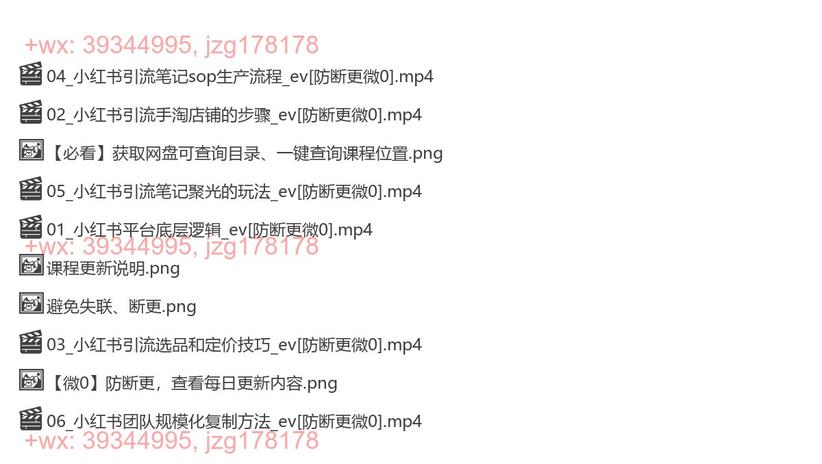 113.小红书引流淘宝天猫成交玩法 screenshot