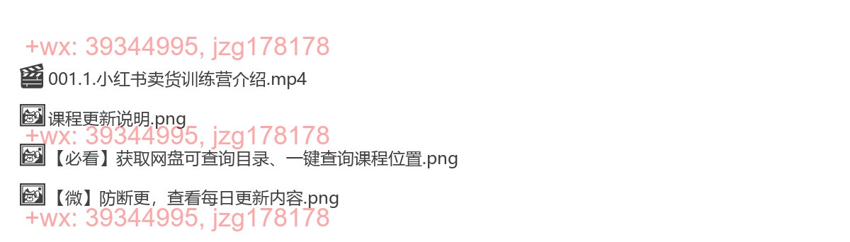 小红书卖货训练营介绍 screenshot