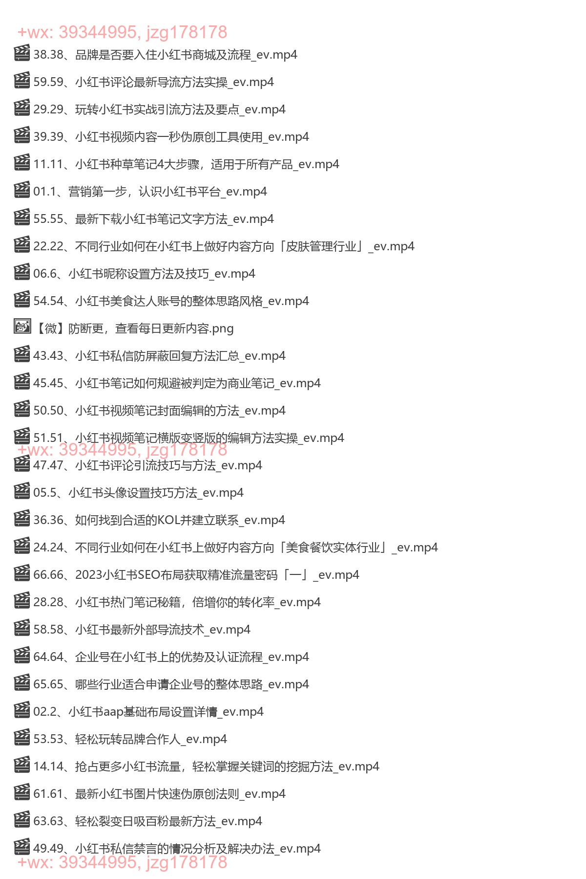 009.小红书引流培训课程「玩转小红书SEO」 screenshot