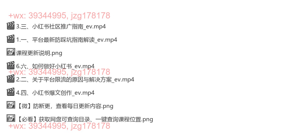 065.苏歆：引爆流量，小红书穿透式营销收割攻略 screenshot