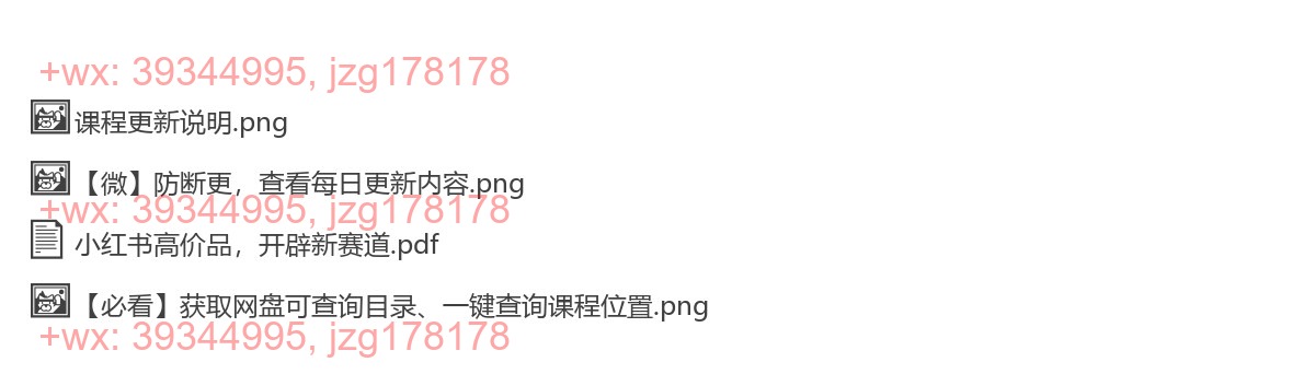 043.小红书高价品，开辟新赛道【文档】 screenshot