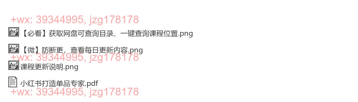 011.小红书打造单品专家 screenshot