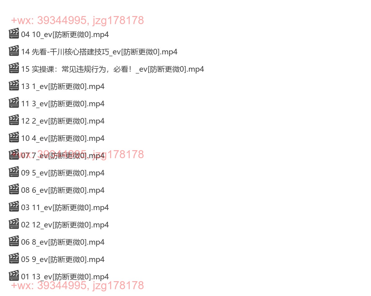 006.大果录客传媒24年11月第47期线下课 screenshot