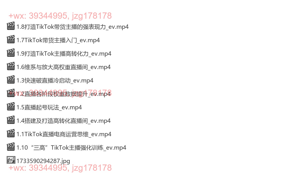 Y8-Tik Tok直播带货实战班-2024年11月13日（双师）主讲：王老师 screenshot