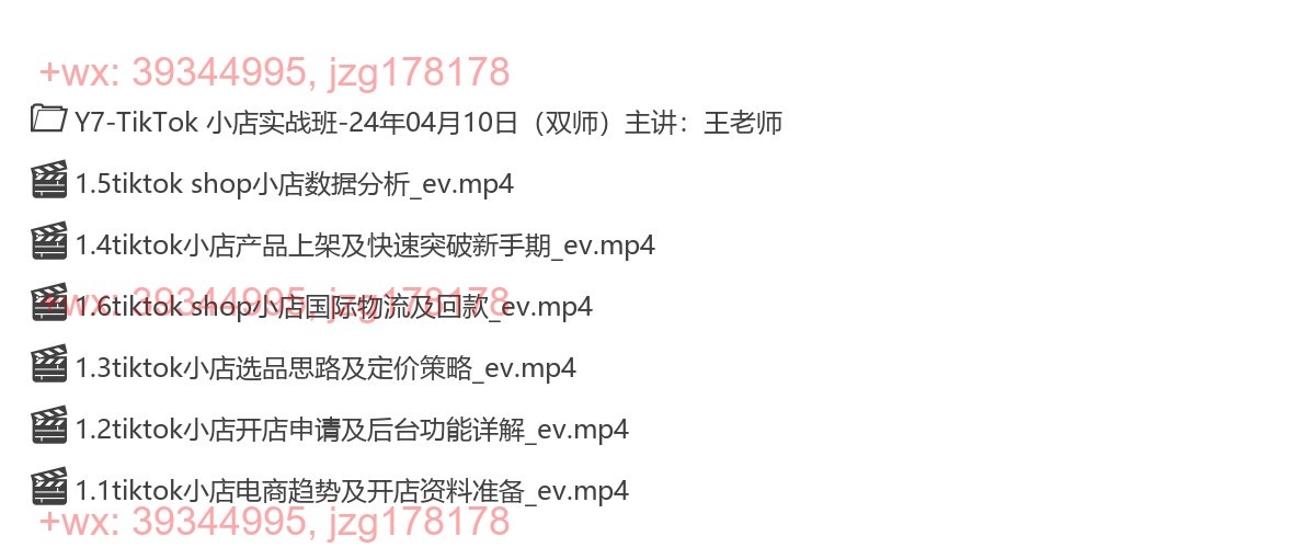 Y7-TikTok 小店实战班-24年11月01日主讲：Vicky郑老师 screenshot