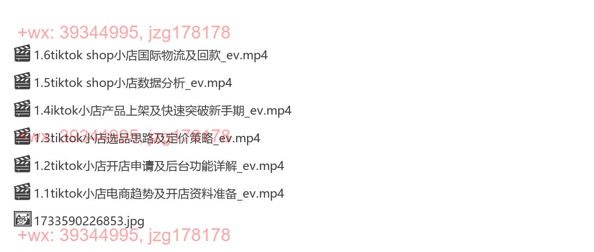 Y7-TikTok 小店实战班-24年04月10日（双师）主讲：王老师 screenshot