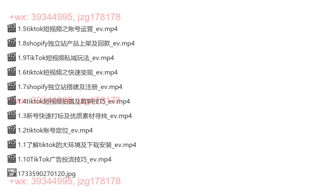 Y6-Tik Tok短视频营销班 2024年11月06日主讲：王老师 screenshot