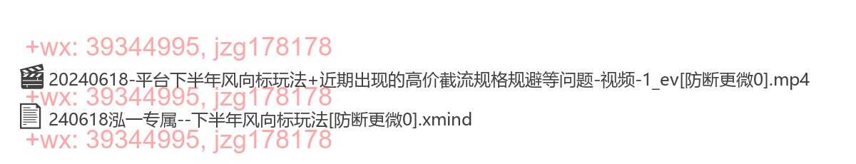 24.6.18泓一专属--下半年风向标（低价起自然流玩法+近期比价现象解读） screenshot