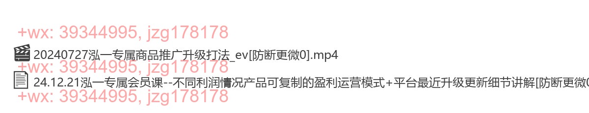 24.12.21泓一专属会员课平台升级细节以及不同利润率产品打法 screenshot
