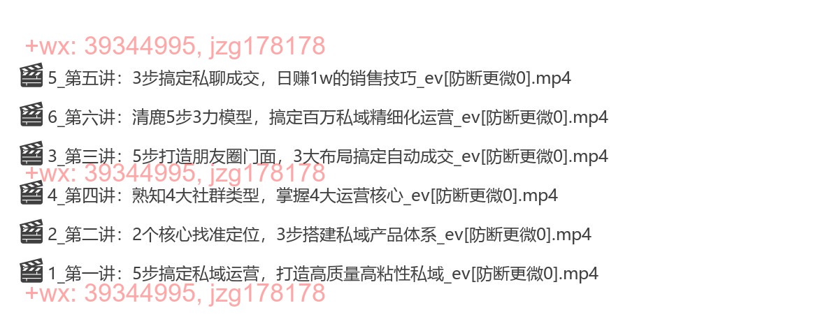 06.引爆私域成交力-系统课 screenshot