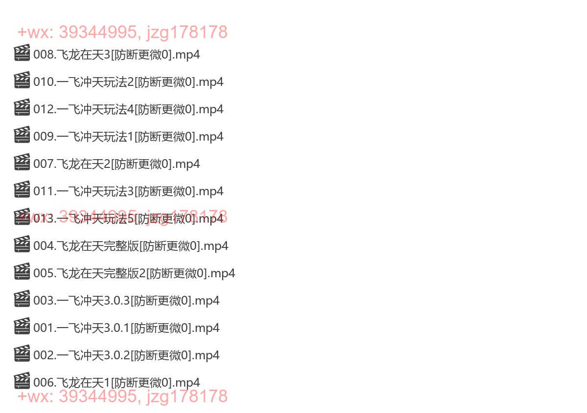 49.彪哥标哥（飞龙在天）课程完整版 screenshot