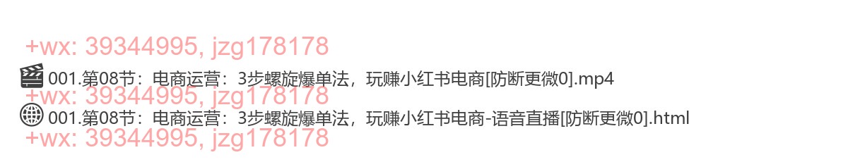 第08节：电商运营：3步螺旋爆单法，玩赚小红书电商 screenshot
