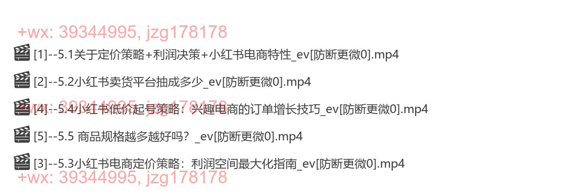 {5}--第五章：定价策略 screenshot
